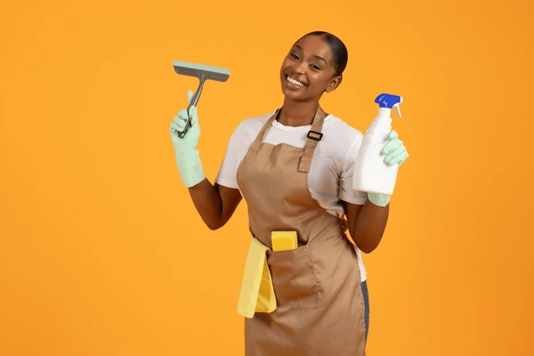 Home cleaner